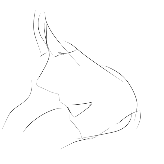 animation test!