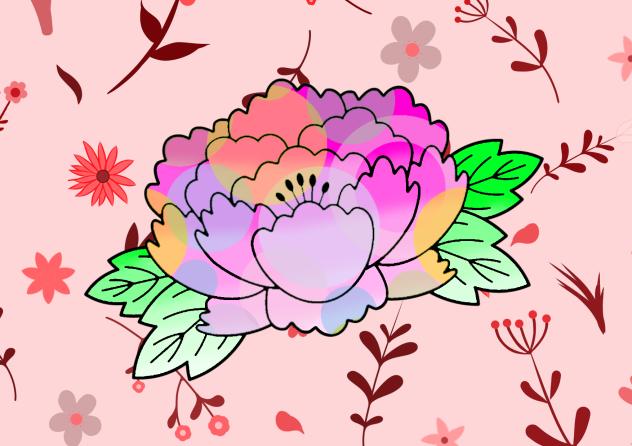 睡蓮