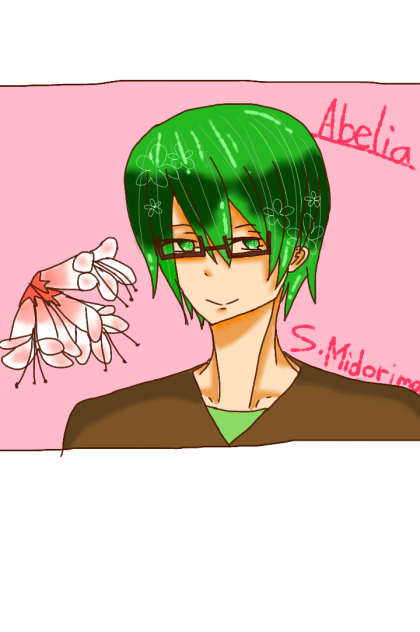 abelia ―S.Midorima―