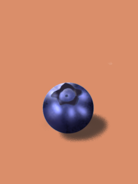 Blueberry 蓝莓 - ibisPaint