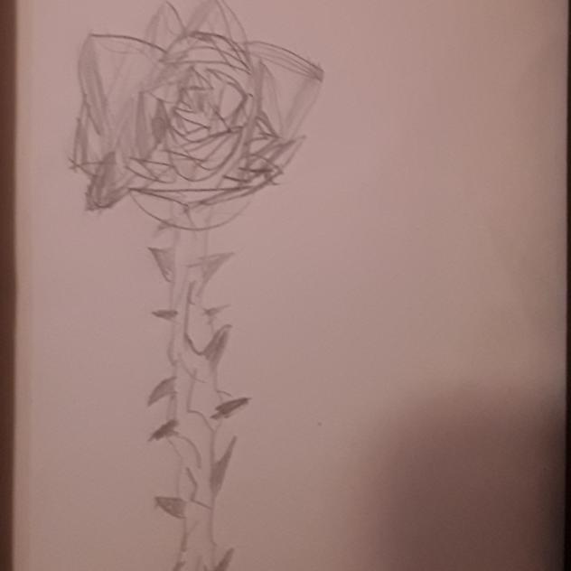 rose