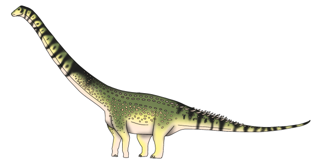 Diamantinasaurus matildae rnd