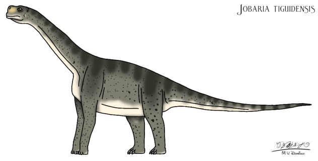 Jobaria tiguidensis