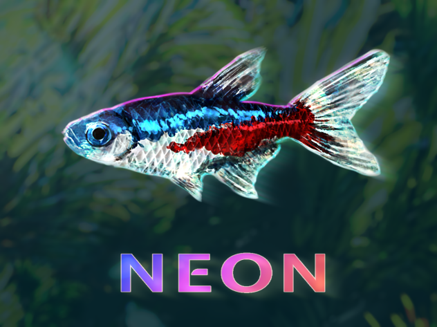 TETRA