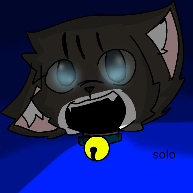 meet my cat solo