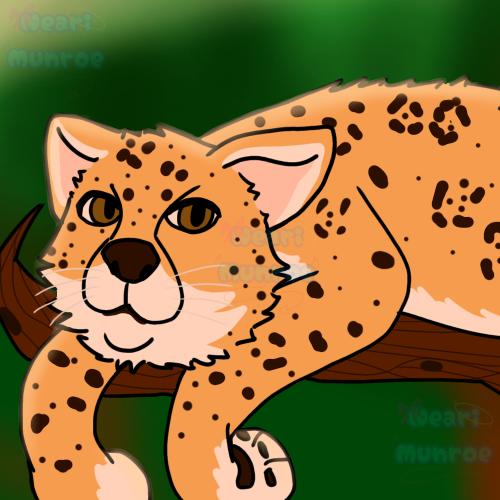 Jaguar chillin in a tree