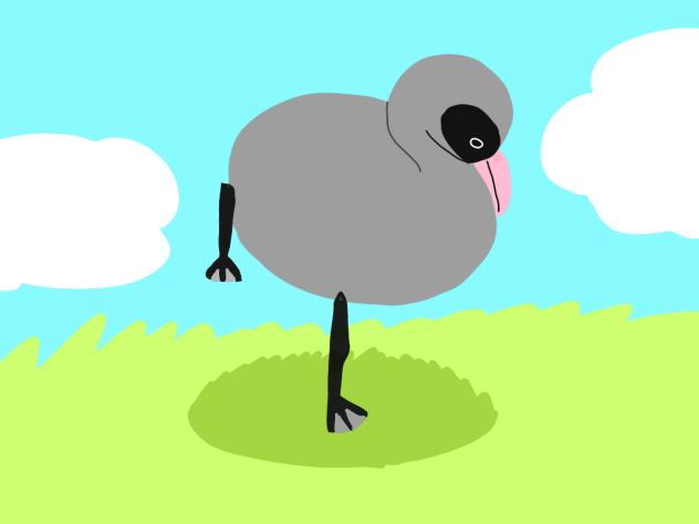 フラミンゴの赤ちゃん