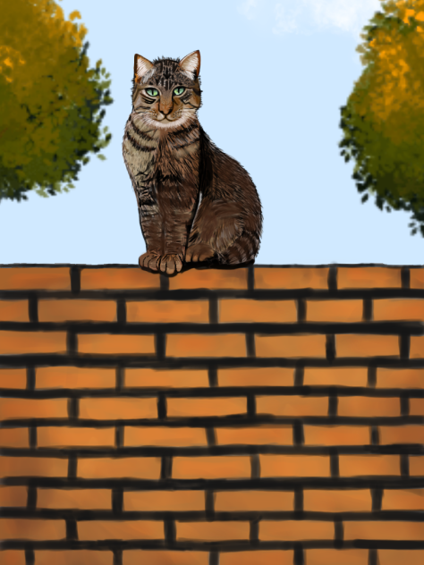 The Cat - El Gato