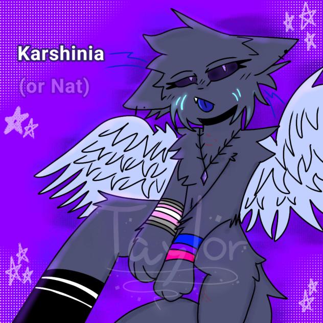 Karshinia