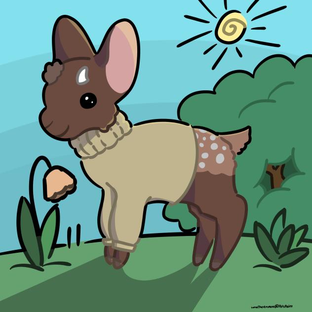 Animal Coloring panel(colored ver2)