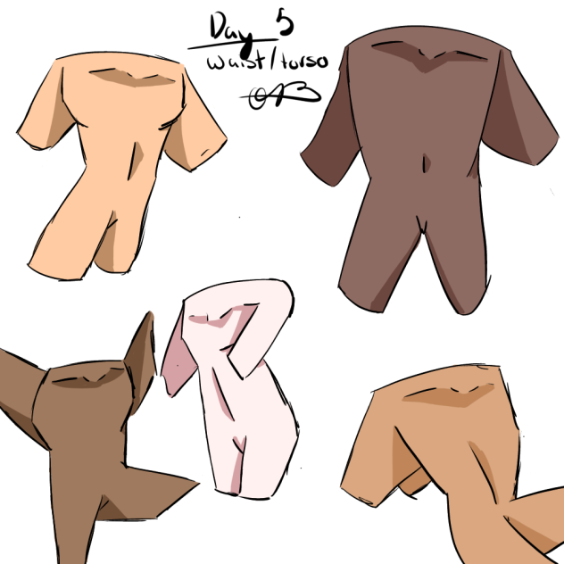 -day 5-waist§torso study-