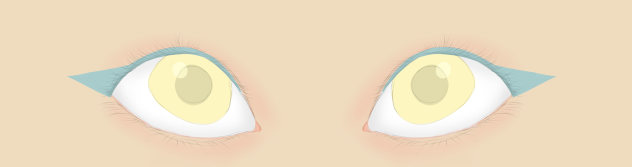 Eyes - ibisPaint
