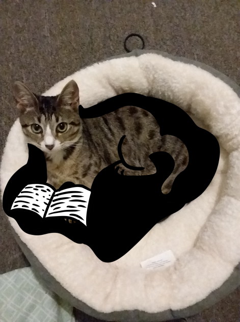 MOOOOOoooooOM, I'm reading!