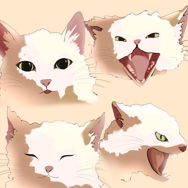 nyan