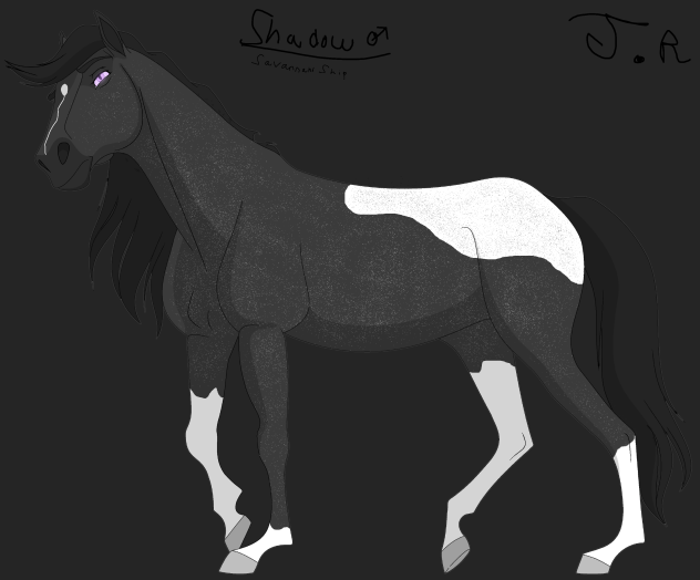 Shadow - Design
