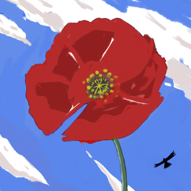 Amapola