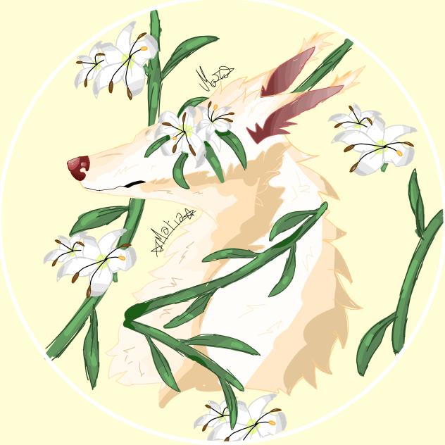 flower wolf (pfp)