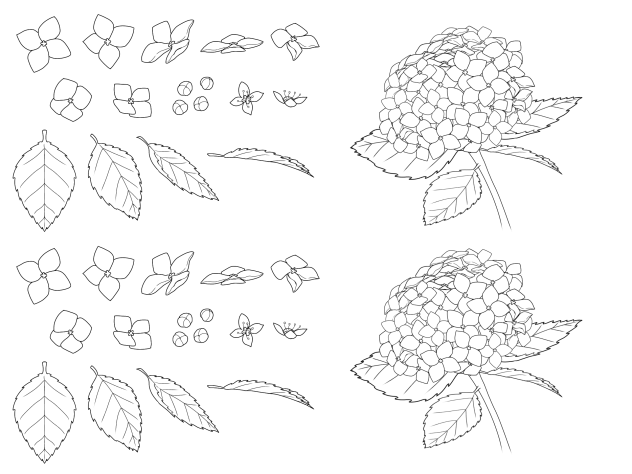 簡単紫陽花セット