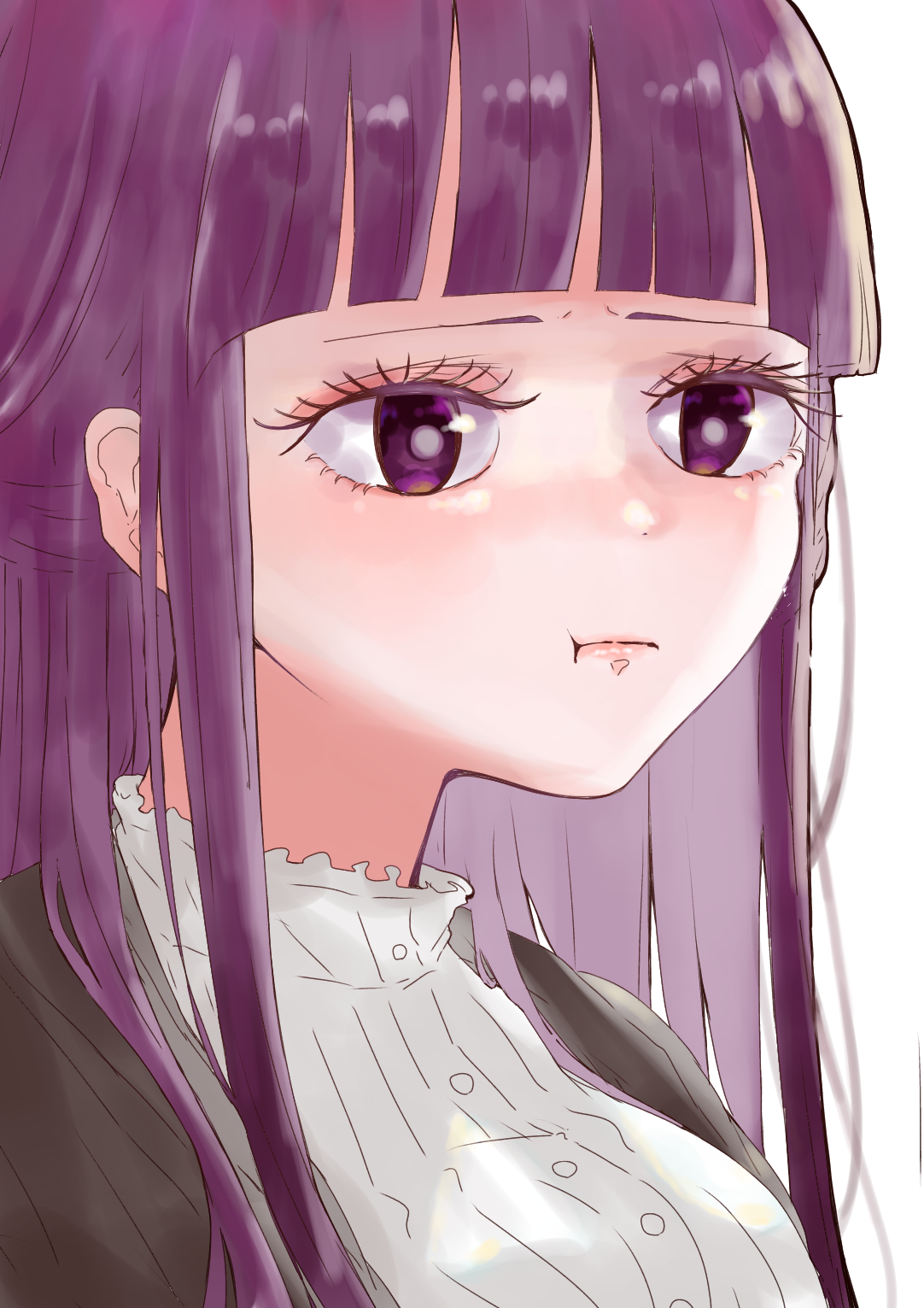 フェルン - ibisPaint