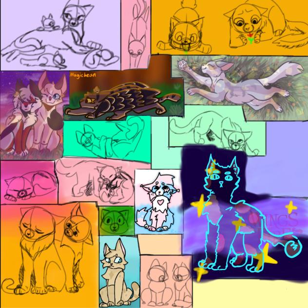 Cat collab with Magicbean!!!