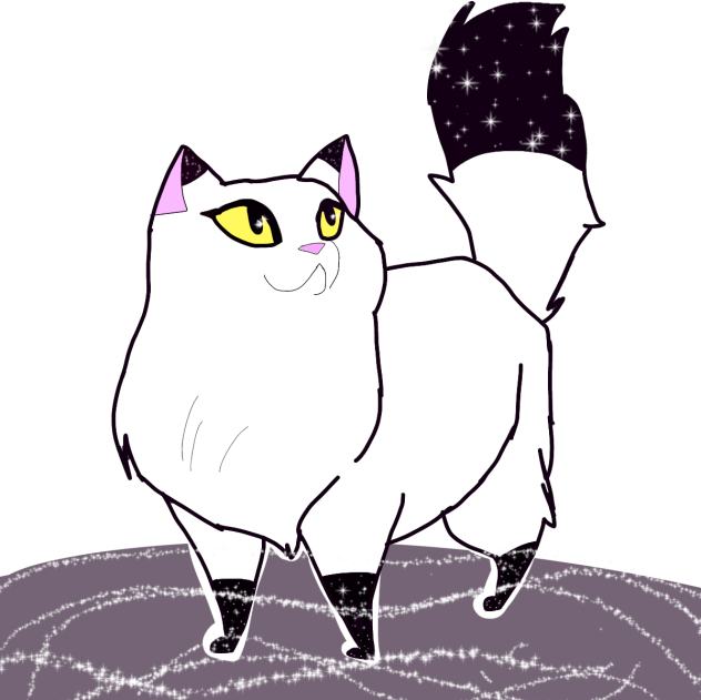 Lily the cat