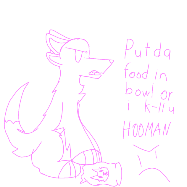 put da food in BOWL