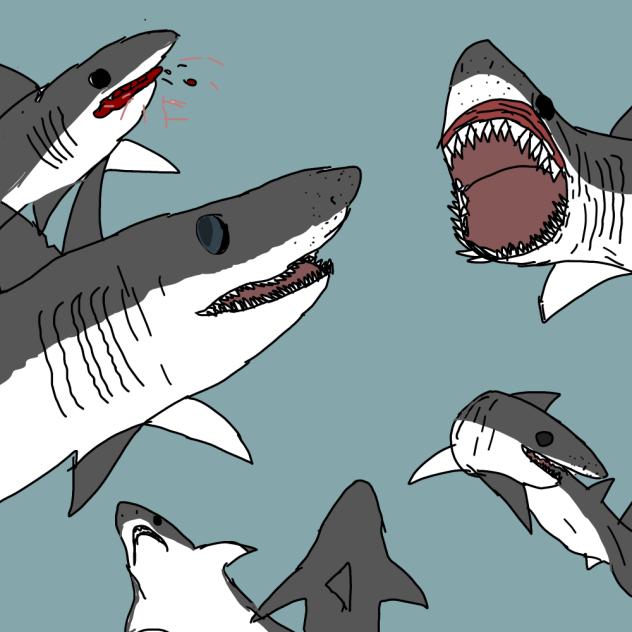 Shark Angles