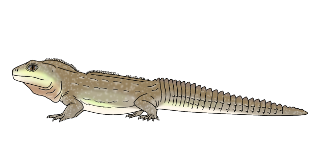Tuatara render