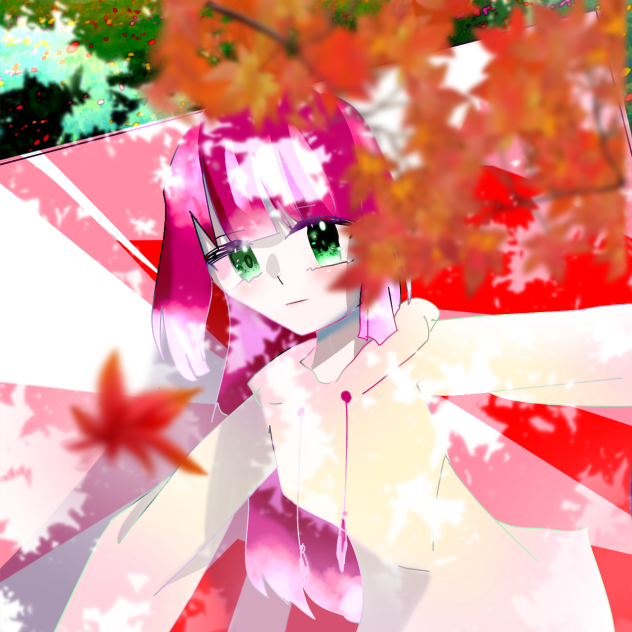 👩‍🦳✖️パーカー✖️🍁