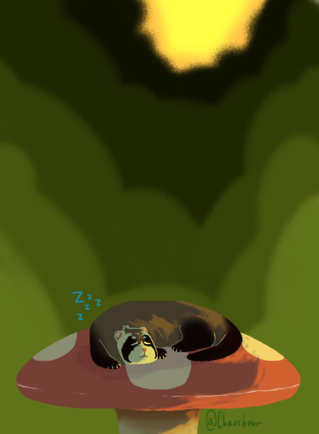 mushroom ferret