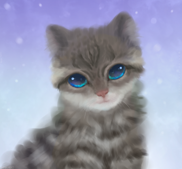 Kitty