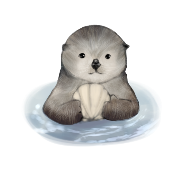 IBM2806 sea otter baby