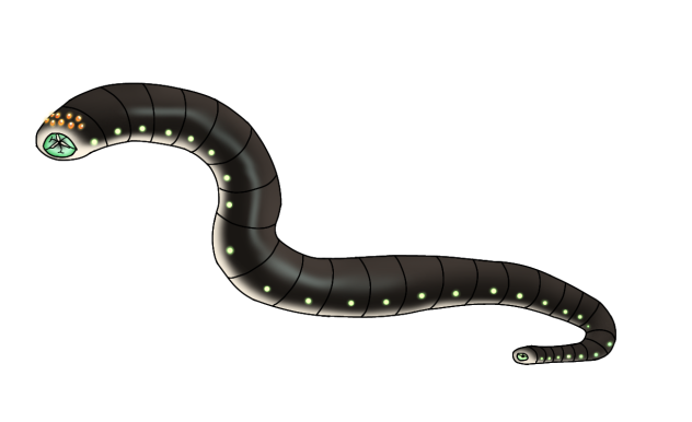 Burach Bhadi