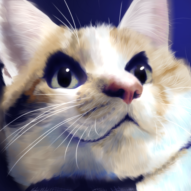 愛猫