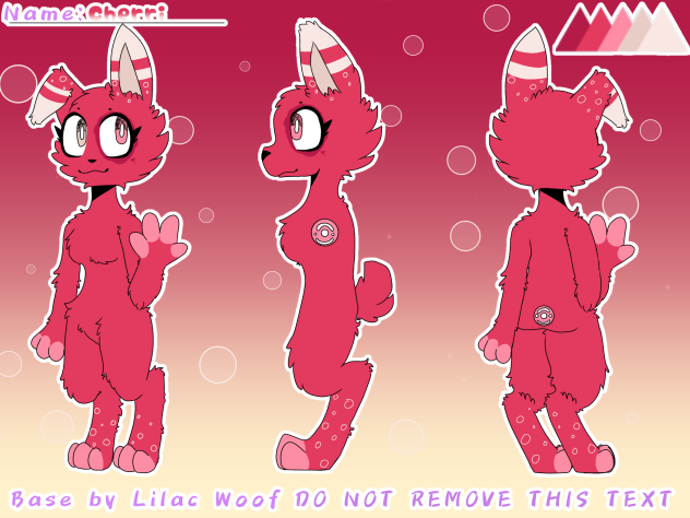 Bunny adoptable