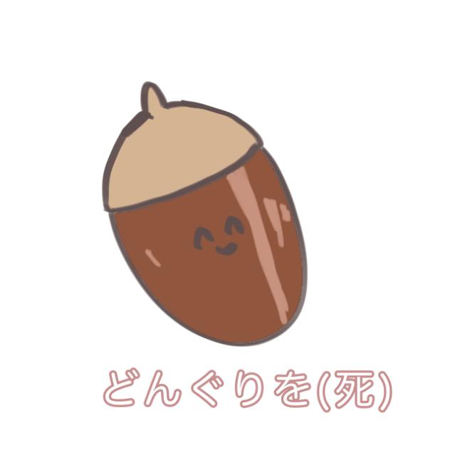 どんぐりを〜⭐︎