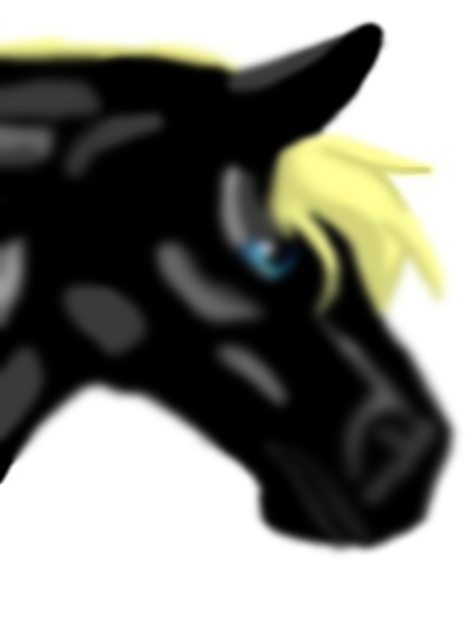 Horse - ibisPaint
