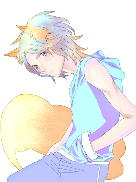 狐少年