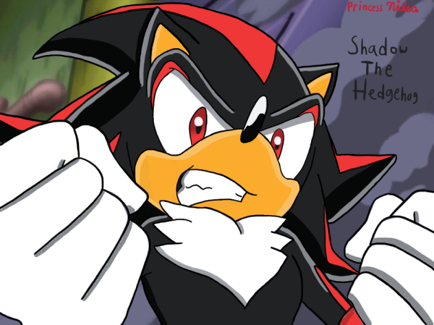 Shadow The Hedgehog