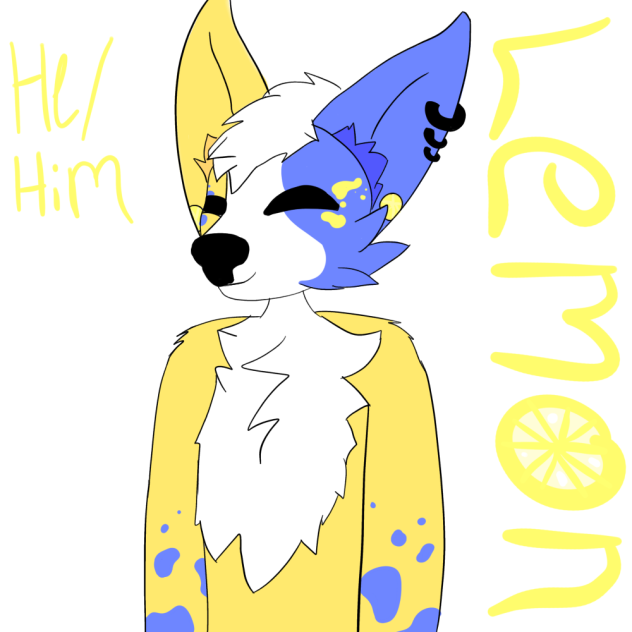 Lemon the  manikite dog