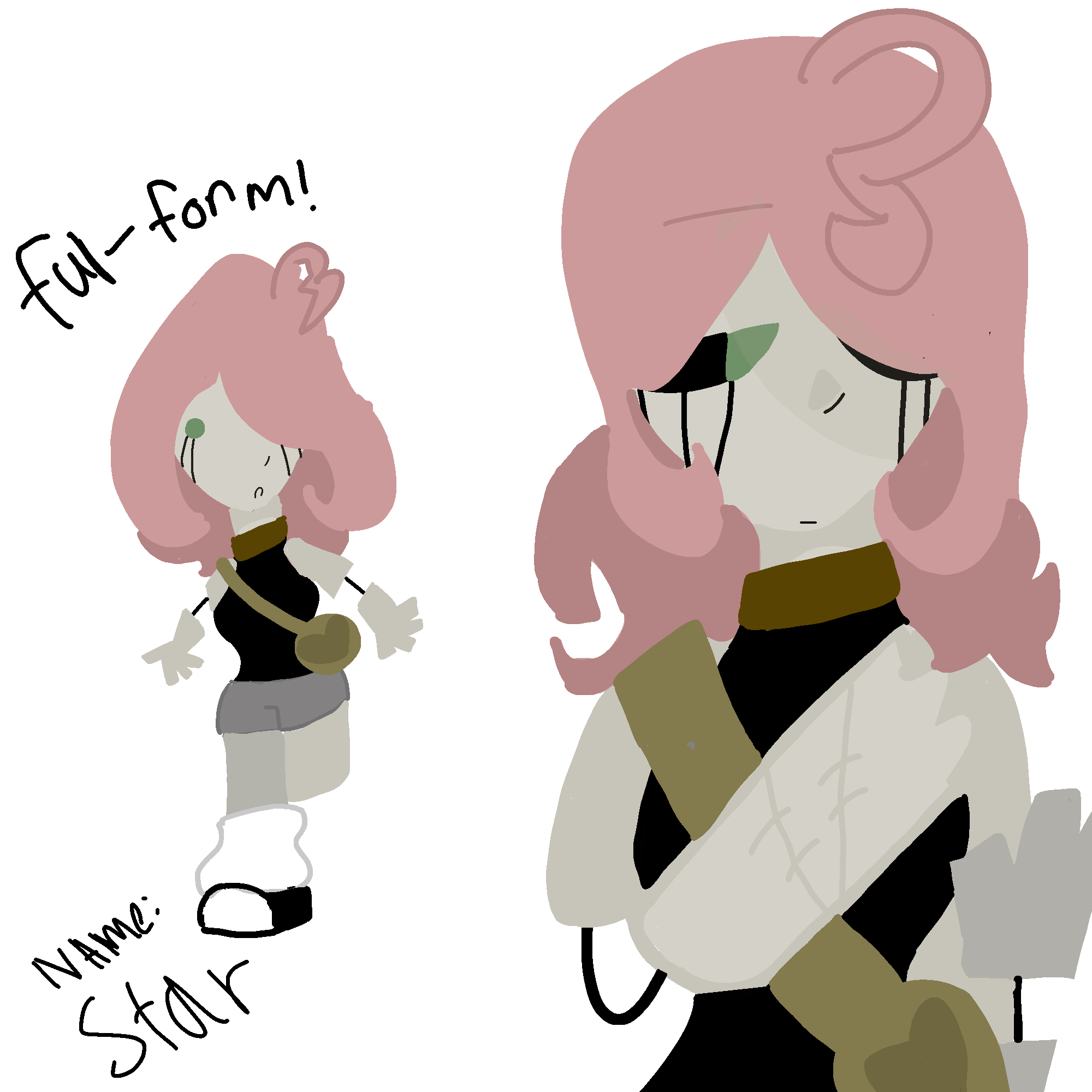 meet star - ibisPaint