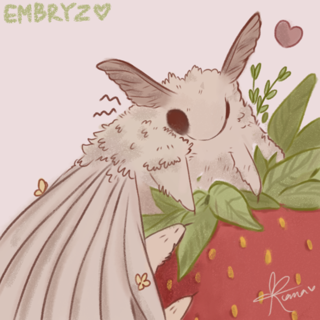 moth
