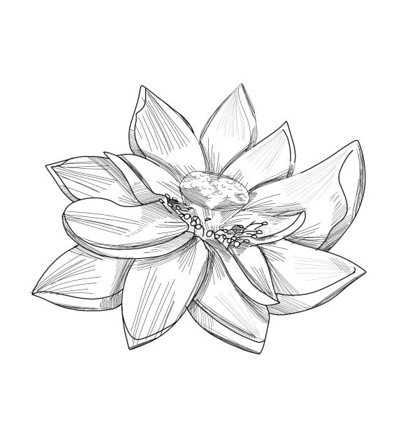 flower  stamp