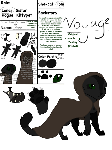 Voyage’s design