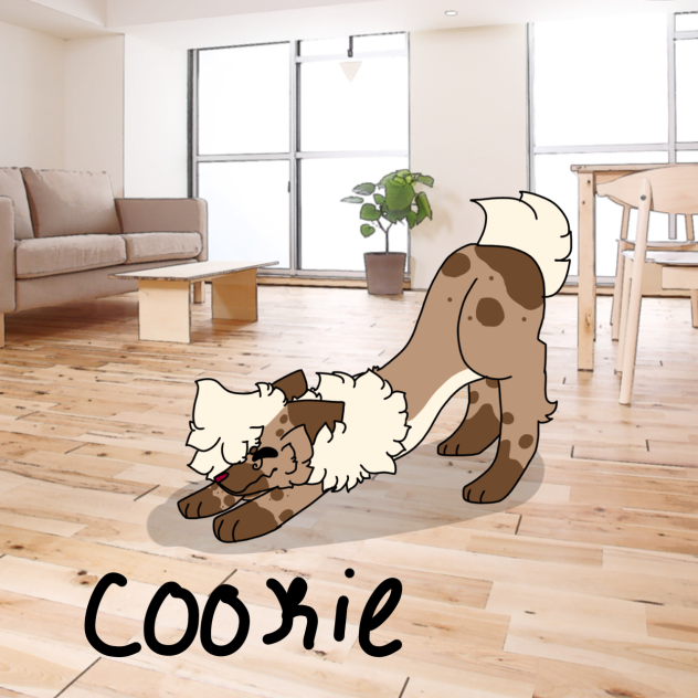 Cookie 🍪 🐈 - ibisPaint