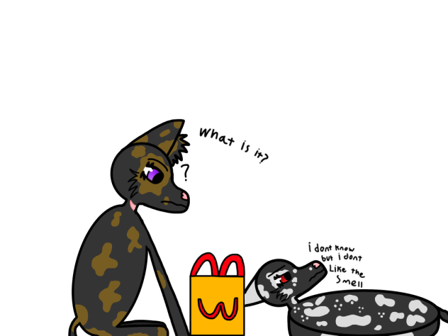 What is dat
