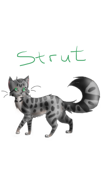 Strut