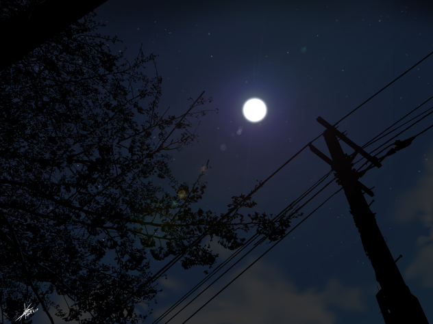 月夜を見上げて
