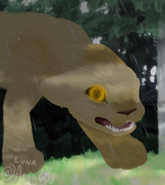 In the Night - ibisPaint