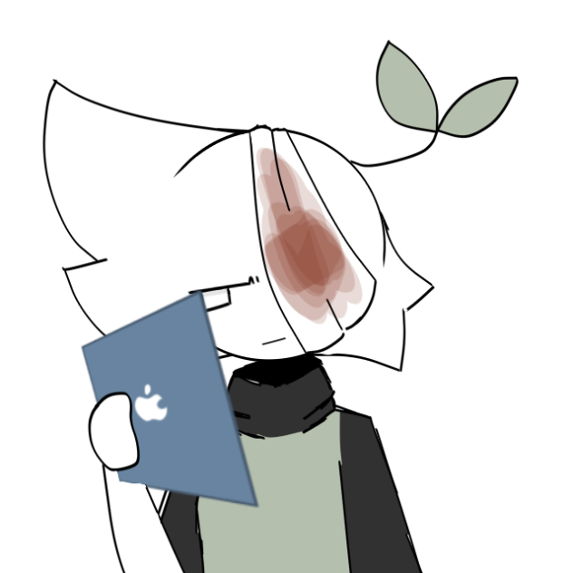 没( ≖_≖)